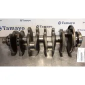 Ciguenal para Volkswagen Golf Iv Berlina (1J1)