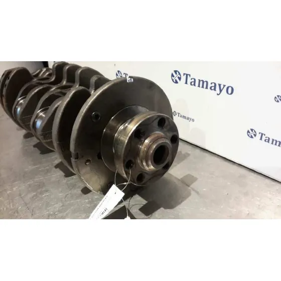 Ciguenal para Volkswagen Golf Iv Berlina (1J1)