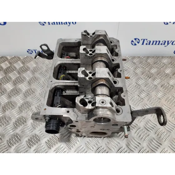 Culata para Seat Ibiza (6L1)