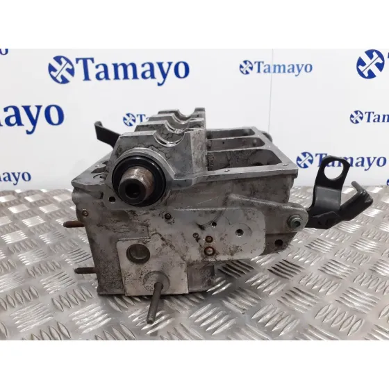 Culata para Seat Ibiza (6L1)