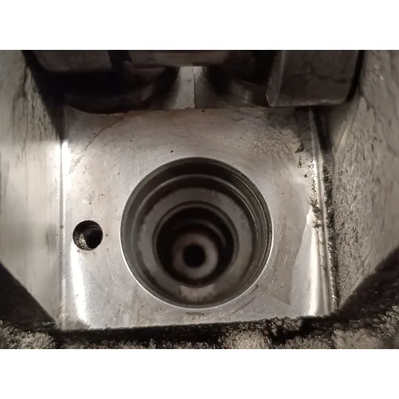 Culata para Seat Ibiza (6L1)