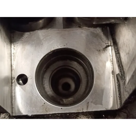 Culata para Seat Ibiza (6L1)
