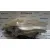 Faro Derecho para Toyota Corolla Verso (E12)