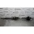 Transmision Delantera Derecha para Peugeot 407