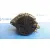 Alternador para Toyota Aygo (Kgb/Wnb)