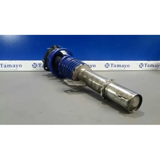 Amortiguador Delantero Derecho para Volkswagen Golf V Berlina (1K1)