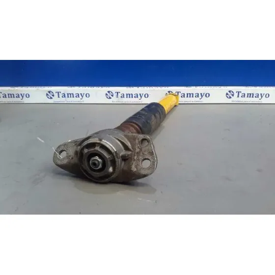 Amortiguador Trasero Derecho para Volkswagen Golf V Berlina (1K1)