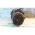 Diferencial Trasero para Suzuki Sx4 Rw (Ey)