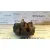 Pinza Freno Delantera Derecha para Peugeot 206+