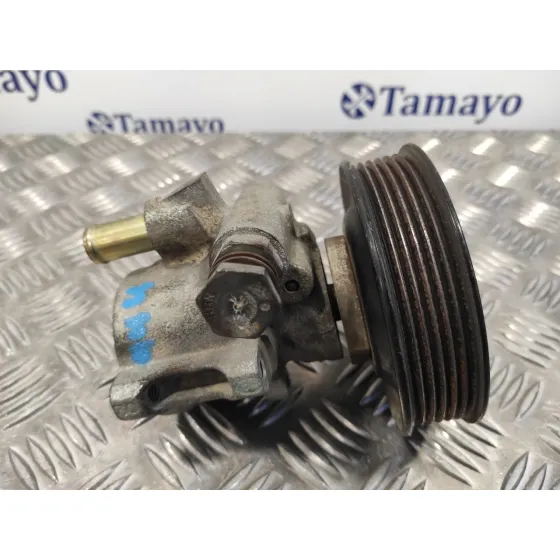 Bomba Servodireccion para Seat Ibiza (6K1)