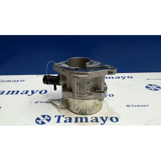 Depresor Freno / Bomba Vacio para Renault Scenic Ii