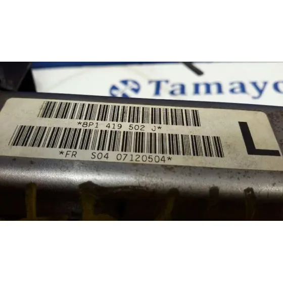 Columna Direccion para Audi A3 (8P)