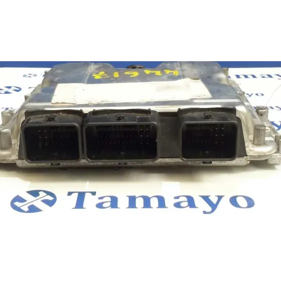 Centralita Motor Uce para Peugeot 307 (S1)