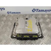 Centralita Motor Uce para Peugeot 307 (S1)