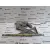 Elevalunas Trasero Izquierdo para Honda Civic Berlina 3/4 (Ej/Ek)
