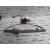 Elevalunas Delantero Derecho para Nissan Almera Tino (V10M)