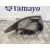 Piloto Trasero Derecho para Mazda 6 Berlina (Gg)