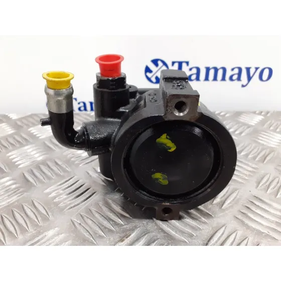 Bomba Direccion para Fiat Doblo (119)