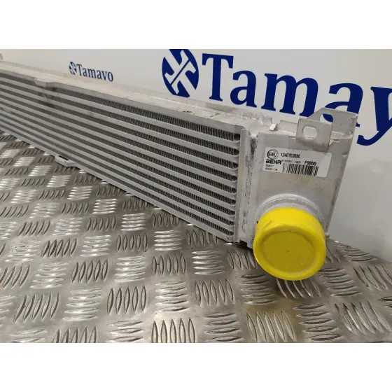 Intercooler para Fiat Ducato Maxi Caja Abierta (09.2006 =>)