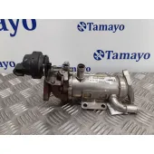 Enfriador Gases para Renault Espace Iv (Jk0)