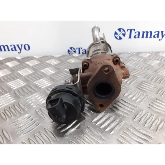 Enfriador Gases para Renault Espace Iv (Jk0)