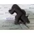 Pinza Freno Delantera Izquierda para Renault Master Ii Phase 2 Combi