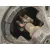 Motor Arranque para Fiat Punto Berlina (188)