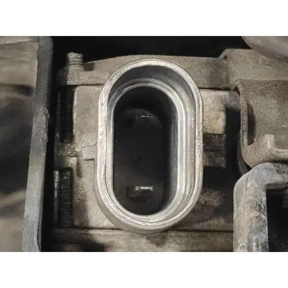 Faro Derecho para Bmw X5 (E53)