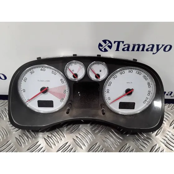 Cuadro Instrumentos para Peugeot 307 Cc (S1)