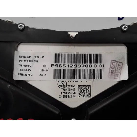 Cuadro Instrumentos para Peugeot 307 Cc (S1)