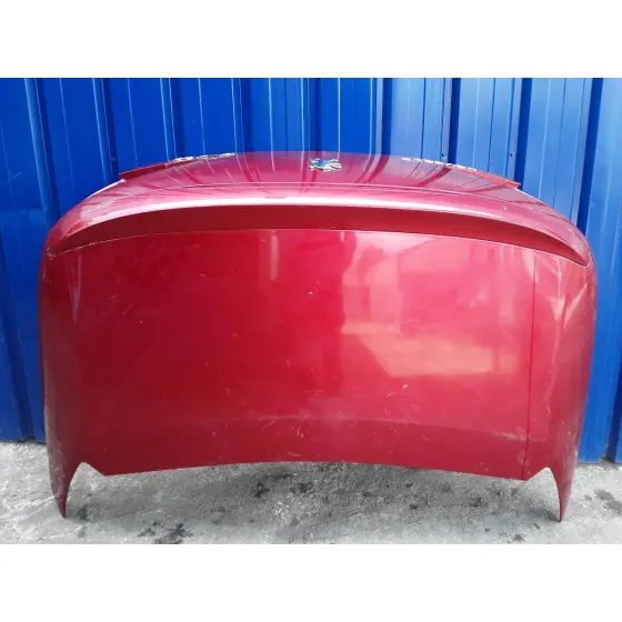 Porton Trasero para Peugeot 307 Cc (S1)