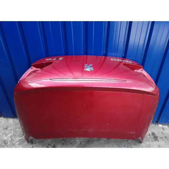 Porton Trasero para Peugeot 307 Cc (S1)