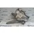 Elevalunas Trasero Derecho para Toyota Avensis Wagon (T25)