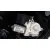 Elevalunas Trasero Derecho para Seat Toledo (1M2)