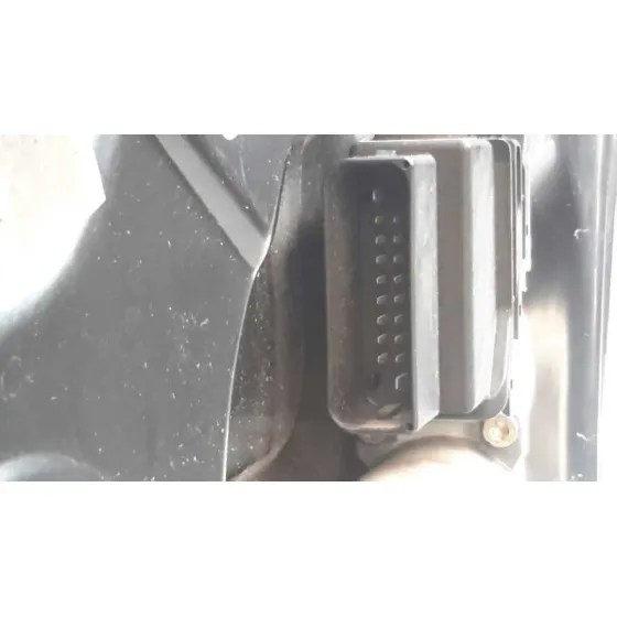 Elevalunas Trasero Derecho para Seat Toledo (1M2)
