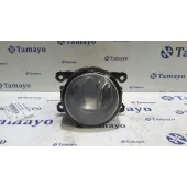 Faro Antiniebla Derecho para Renault Scenic Ii