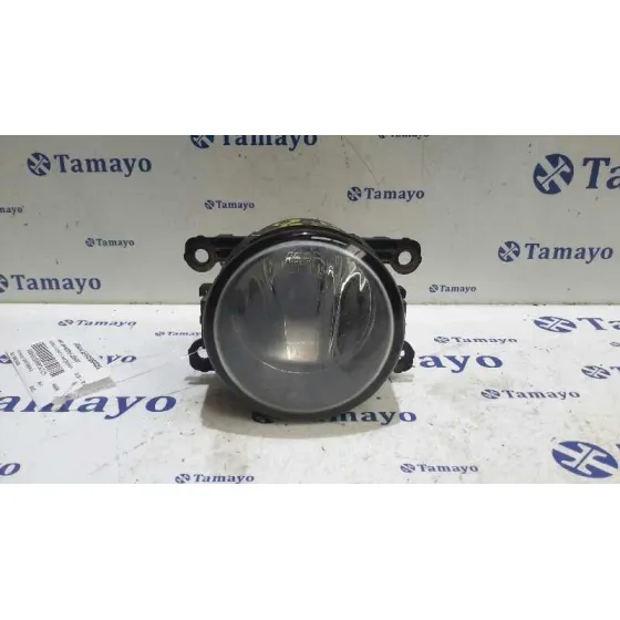 Faro Antiniebla Derecho para Renault Scenic Ii