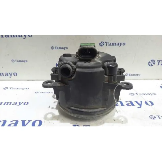 Faro Antiniebla Derecho para Renault Scenic Ii
