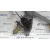 Elevalunas Delantero Izquierdo para Renault Espace /Grand Espace (Je0)