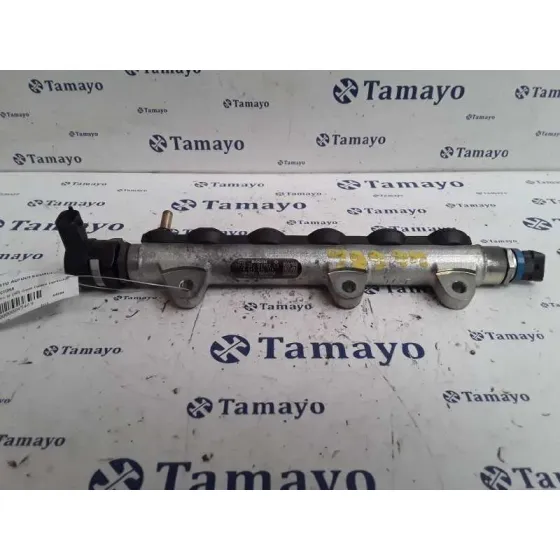 Rampa Inyectora para Renault Espace Iv (Jk0)