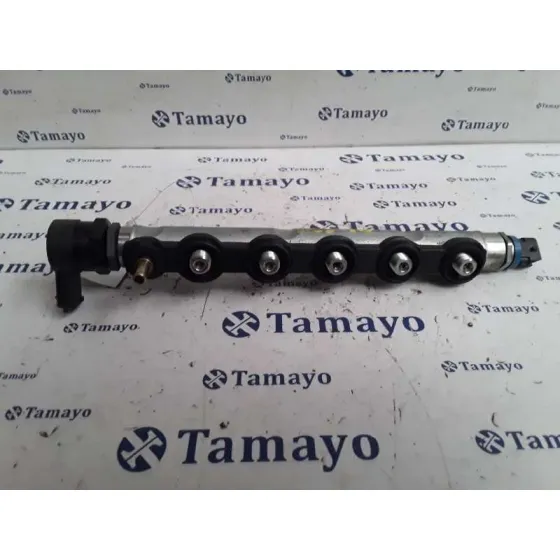 Rampa Inyectora para Renault Espace Iv (Jk0)