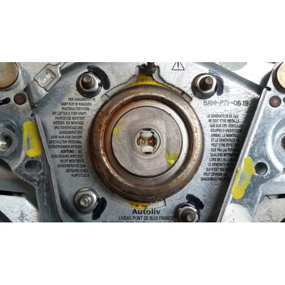 Airbag Delantero Izquierdo para Peugeot 206 4-Trg.