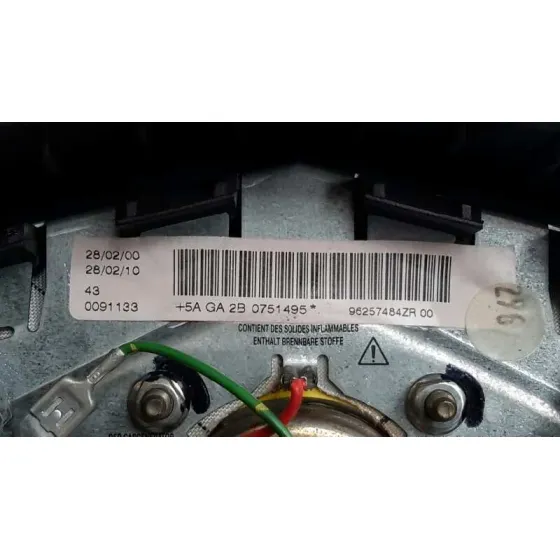 Airbag Delantero Izquierdo para Peugeot 206 4-Trg.