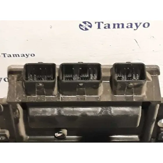 Centralita Motor Uce para Renault Scenic Ii