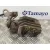 Pinza Freno Trasera Derecha para Seat Leon (1P1)