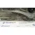 Elevalunas Trasero Derecho para Hyundai Santa Fe (Sm)