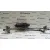 Motor Limpia Delantero para Mazda 6 Berlina (Gg)
