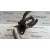 Enfriador Gases para Mazda 6 Berlina (Gg)