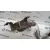 Enfriador Gases para Mazda 6 Berlina (Gg)