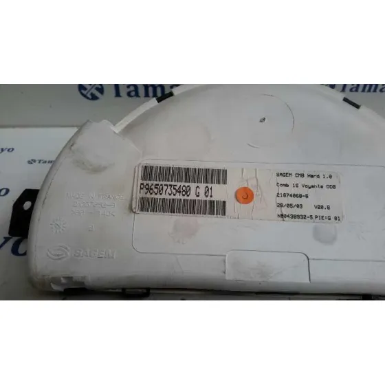 Cuadro Instrumentos para Citroën C2